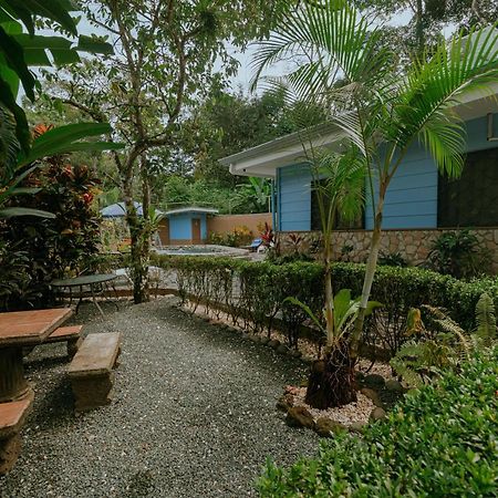 Oasis Diverse Adult Retreat Quepos Ngoại thất bức ảnh